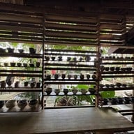 Tree Park Coffee แพร่
