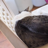 นายพล ถนนรอดบุญ