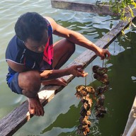 สามช่องซีฟู้ด