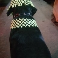 งานกาชาดสระบุรี