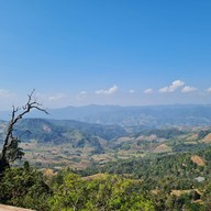 Abonzo coffee Abonzointown