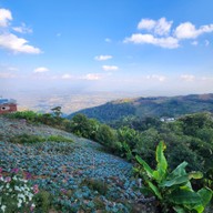 Allsky รีสอร์ท ภูทับเบิก