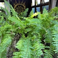 SlopeCoffee แพร่