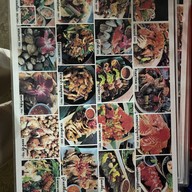 ครัวนายอั้งเขาหลัก เขาหลัก