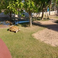 Morino Hotels & Resorts