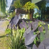 ครัวป้าแดง 1