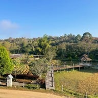 ไร่ต้นรัก