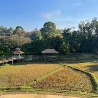 ไร่ต้นรัก