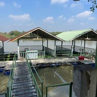 ล้านลำพู