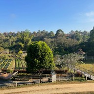 ไร่ต้นรัก