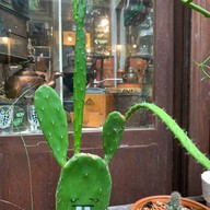 7tique coffee shop