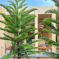 COPPERWOOD -