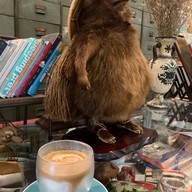 7tique coffee shop