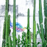 AT MOST Cafe แอทโมสต์ คาเฟ่ .