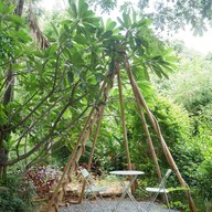 บรรยากาศ สุขธรรมดา Sukthammada Cafe & Homemade food