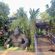 เมนูของร้าน มาโม้คาเฟ่