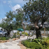 บรรยากาศ Café Amazon ปตท.ชะอวด