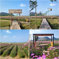 Enjoy Flowers By Anon