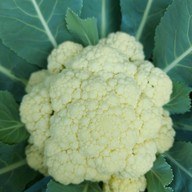 แพรเพียงพอ Prae Piang Por Prae Piang Por