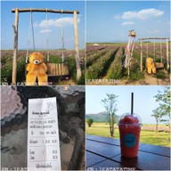 Enjoy Flowers By Anon