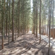 บรรยากาศ Phupha Coffee Camp บ้านคา ราชบุรี