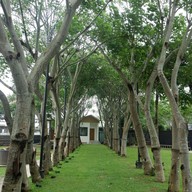 บรรยากาศ Campsite Bar And Cafe