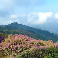 จุดชมวิวฐานปฏิบัติการดอยช้างมูบ เชียงราย