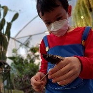 บรรยากาศ Little Big Wings : Butterfly & Garden