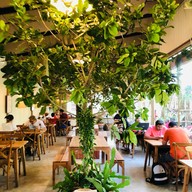 หมอก คาเฟ่