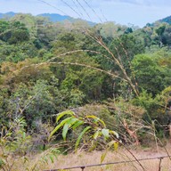 บรรยากาศ ทุ่งหญ้าสีทอง เขาหล่น นครนายก