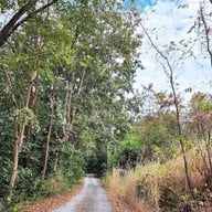 บรรยากาศ ทุ่งหญ้าสีทอง เขาหล่น นครนายก