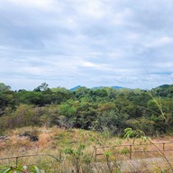 บรรยากาศ ทุ่งหญ้าสีทอง เขาหล่น นครนายก