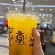 Kyo Roll En ไอคอนสยาม