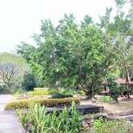 วังตะไคร้