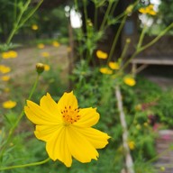 บรรยากาศ สามสิบ ไดร์ฟวิ่งเรนจ์ คาเฟ่&รีสอร์ท -