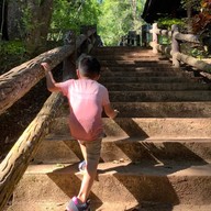 น้ำตกป่าหวาย