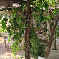 บรรยากาศ ระเบียงนา คาเฟ่