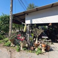 ผัดไทยวัดท้องคุ้ง