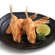 เมนูของร้าน DON ฟิวเจอร์พาร์ค และสเปลล์