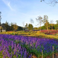บรรยากาศ Flowers Village Khaoyai