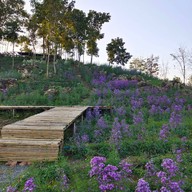 บรรยากาศ Flowers Village Khaoyai