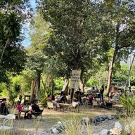 Custom Coffee Camping