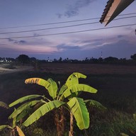 ลมเจ้าขา คาเฟ่