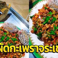 จ่าโอ๋ กะเพราโบราณ หอพักพัชรี