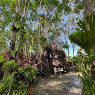 วังเทพทาโร