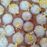 เมนูของร้าน ร้านหอยทอดพันธิตรา