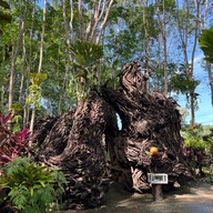 วังเทพทาโร