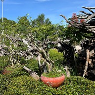 วังเทพทาโร