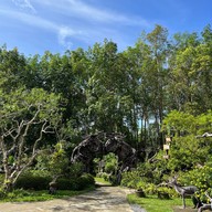 วังเทพทาโร