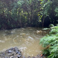 วังเทพทาโร